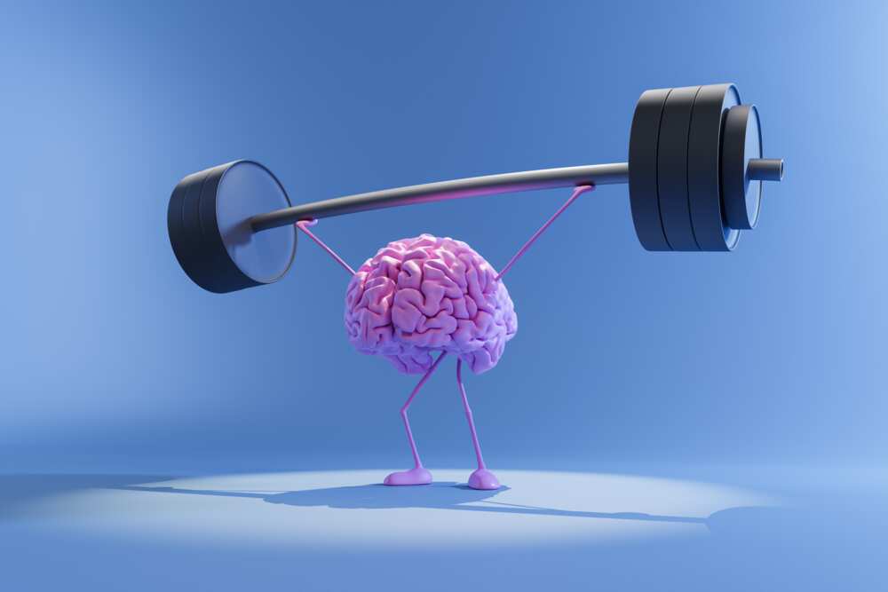 Les contrepèteries difficiles et intelligentes poussent les personnes à faire fonctionner leurs méninges. Les contrepèteries difficiles et intelligentes poussent les personnes à faire fonctionner leurs méninges.