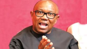 Yanzu: Kotu Ta Dage Sauraran Karar Peter Obi Saboda Rashin Lafiyar Lauyoyinsa 2