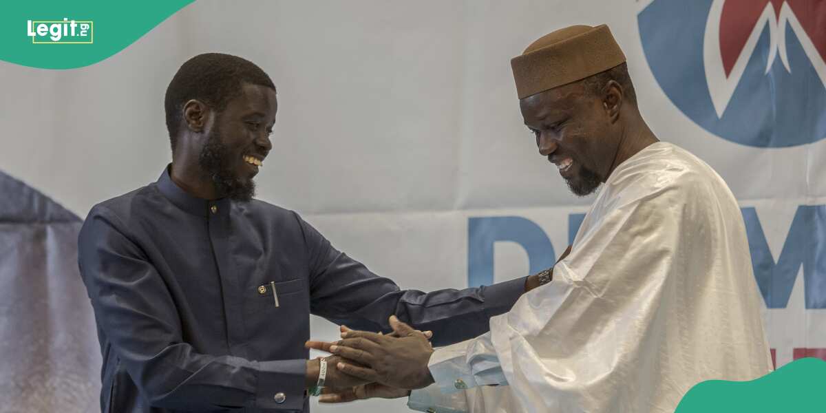 Senegal poll: Former APC chieftain sends crucial message to President-elect Bassirou Faye