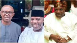 What is Doyin Okupe's offence? Real reason court sent Peter Obi's campaign DG to prison revealed