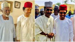 Democracy Day: Shehu Sani releases list of northerners who fought for June 12