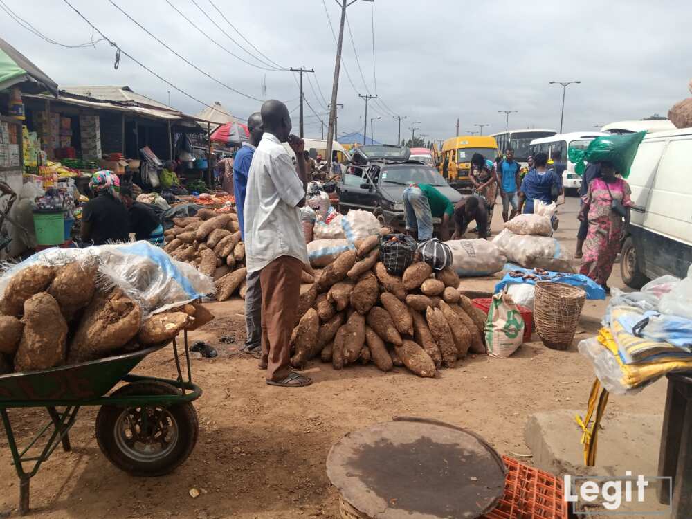 Yams on display in the market now, is not as fresh as the one diplayed above. Photo credit: Esther Odili