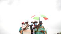 We'll resist any attempt to rig Edo governorship election, says PDP chieftain