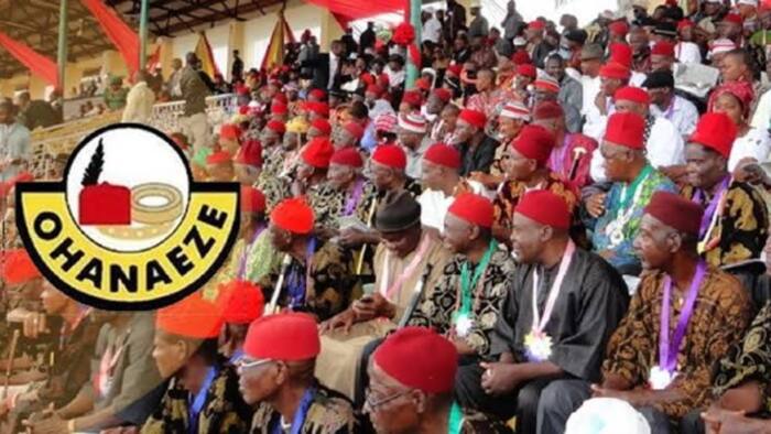 Da Gaske An Kashe 'Yan Arewa 100 a Kudu? Kungiyar Inyamurai Ta Yi Magana Mai Daukar Hankali