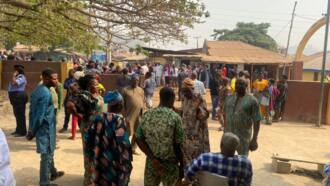 LIVE UPDATES: Anger, bitterness, grudges as Fayemi, Tinubu's anointed aspirants battle for votes in Ekiti APC guber primary