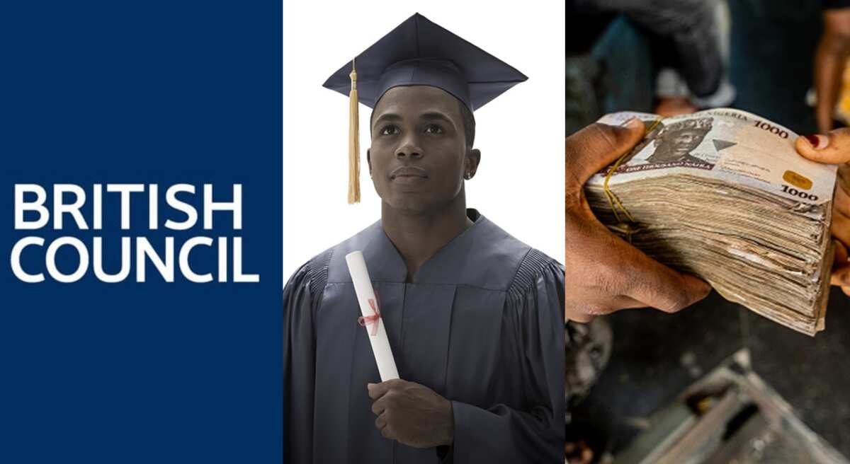 Read: These are the new prices of IELTS English test in Nigeria, you will be shocked