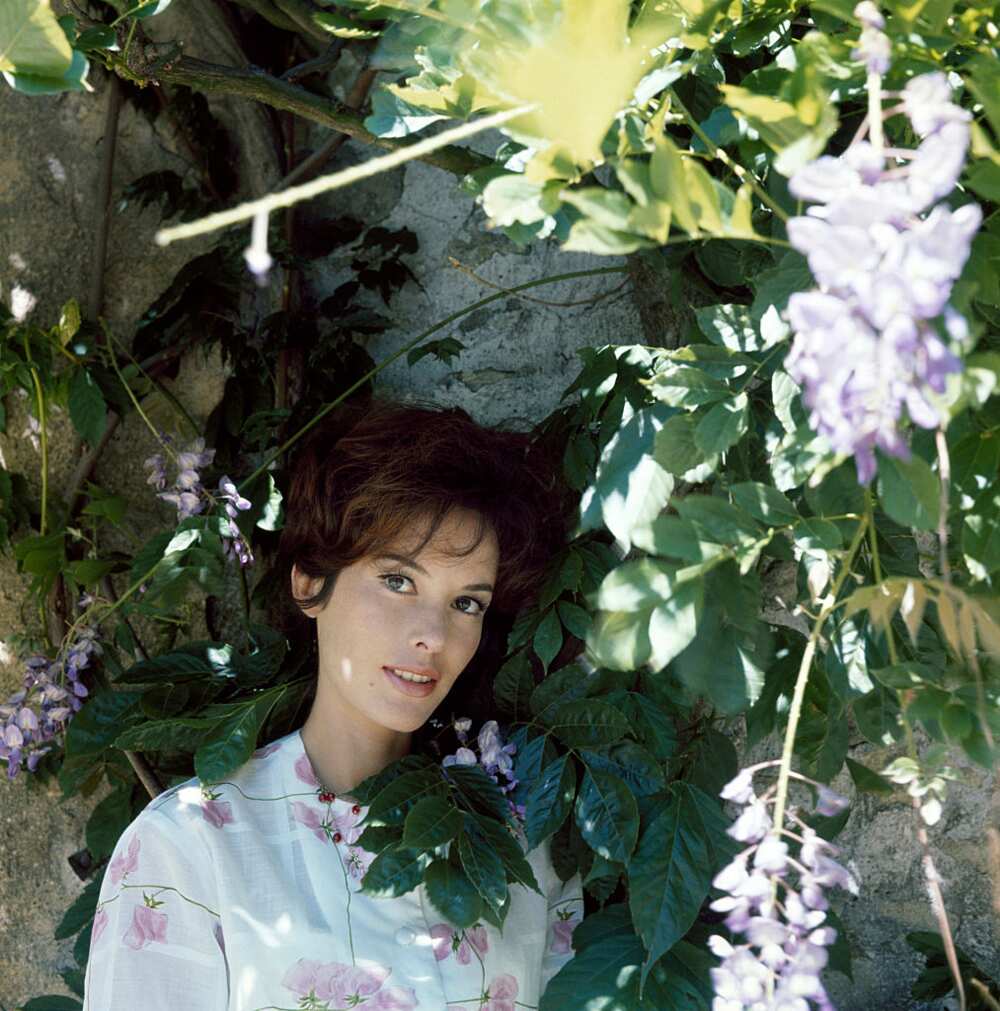 Pascale Audret Pascale Audret
