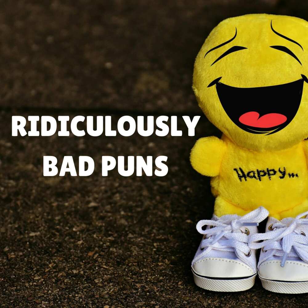 50+ ridiculously bad puns that are just absolutely tearrible 