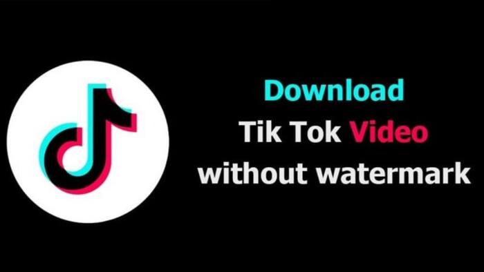 How to Download TikTok Videos on Android and iOS Devices with Ssstiktok