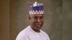 Fadar Shugaban Kasa Ta Tabbatar da Murabus Ɗin Wani Ministan Buhari, Ta Fallasa Sunansa