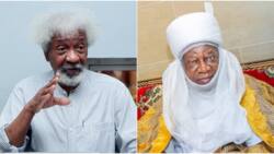 ‘You committed a crime for cancelling Isese Festival,’ Soyinka blasts Ilorin Emir in open letter
