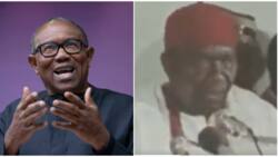 Peter Obi: Fani-Kayode digs up rare 1979 video in which Azikiwe rejected Shagari's election
