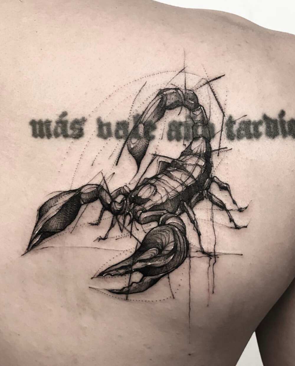 Scorpion tattoo designs