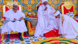 I could visit Daura every 2 weeks and no one can stop me, Buhari declares, Emir reacts