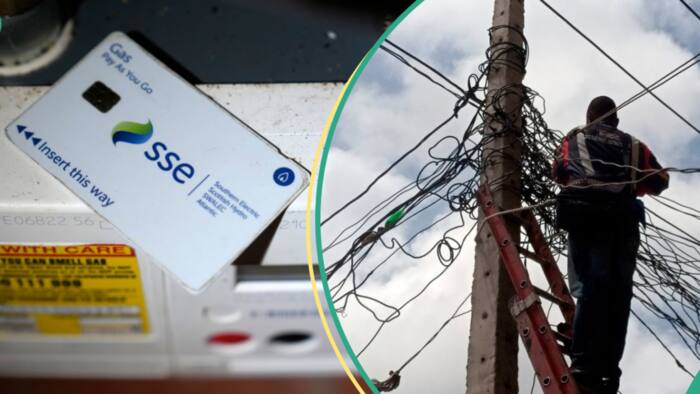 FG licenses 17 new electricity distribution companies to compete Ikeja Electric, others