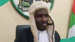 Breaking: Tribunal invalidates Gombe speaker's election, issues fresh directive to INEC