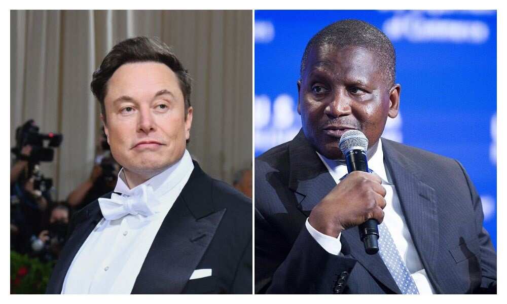 Aliko Dangote, Elon Musk, SpaceX, Tesla, Dangote Cement