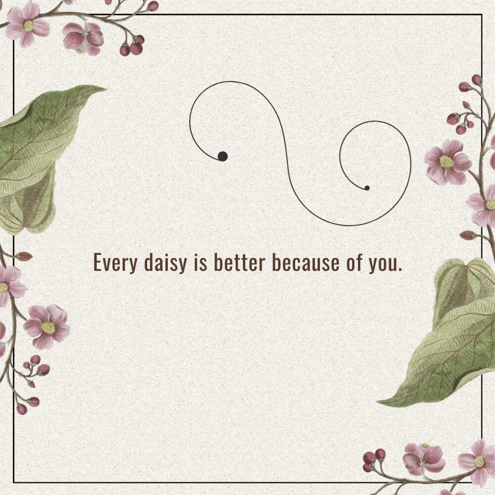 flower captions puns flower captions puns