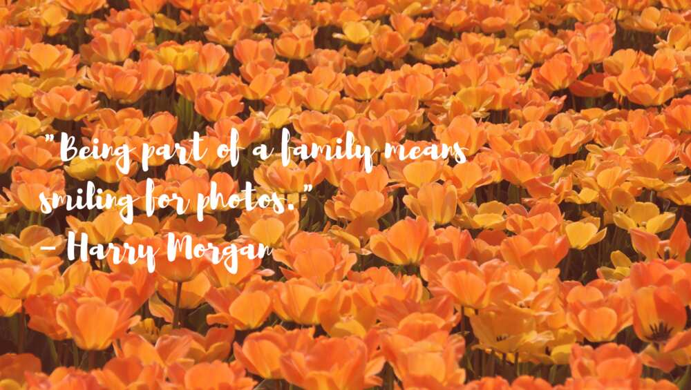 Family cute quotes Family cute quotes