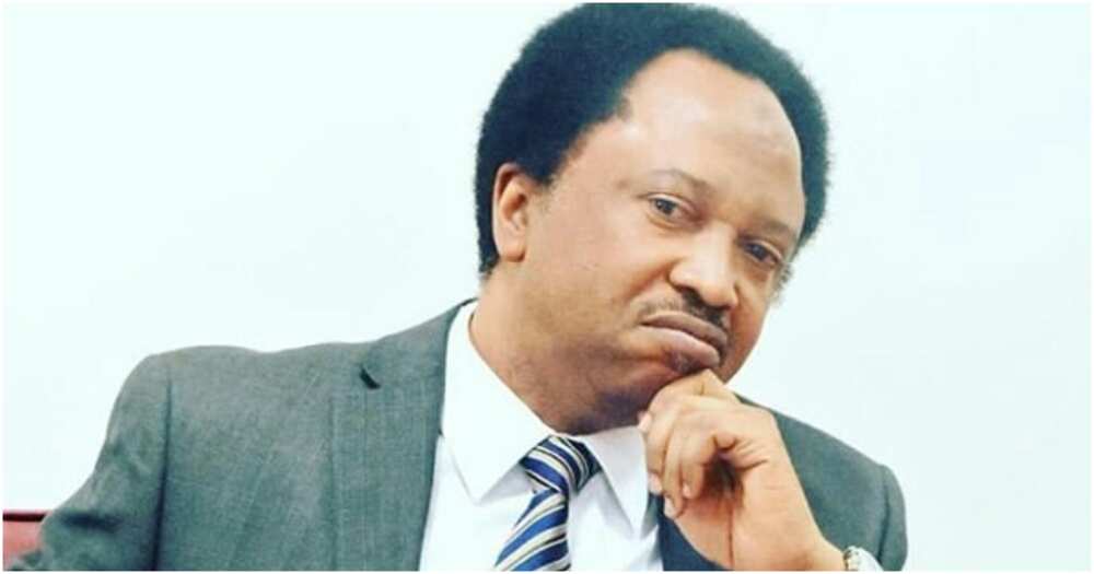 Katsina terrorist attacks, Senator Shehu Sani, who represented Kaduna Central, the 8th National Assembly, Nigerian governors, Boko Haram Katsina terrorist attacks, Senator Shehu Sani, who represented Kaduna Central, the 8th National Assembly, Nigerian governors, Boko Haram
