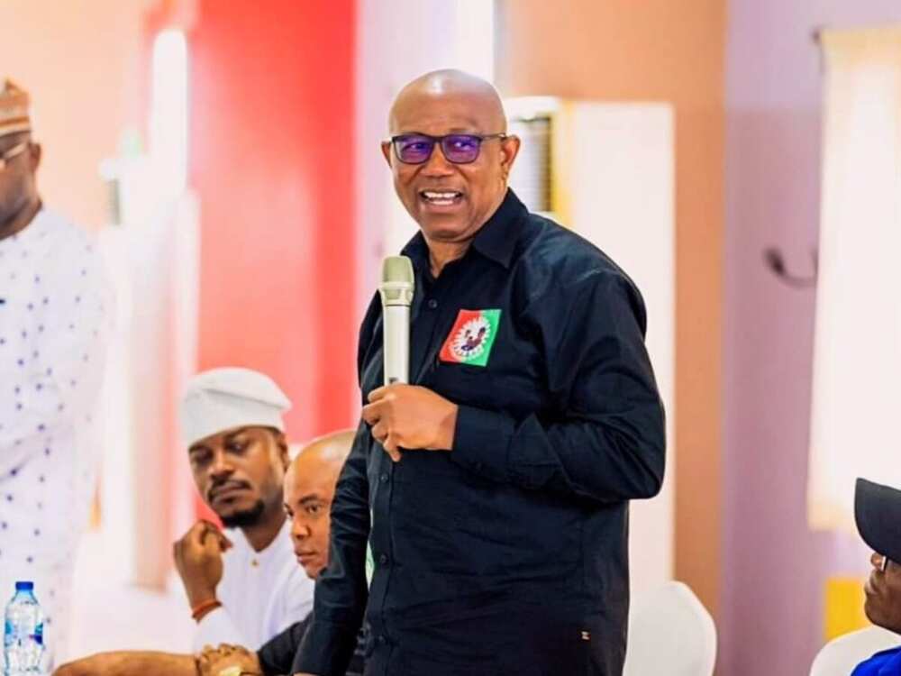 2023 general elections, Labour Party, Peter Obi, Pan Igbo organisation Ohanaeze Ndigbo Worldwide