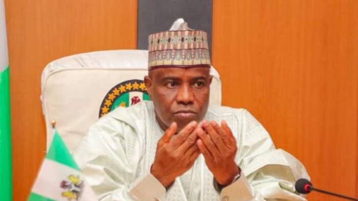 Nationwide support? Northern PDP governor gets major endorsement to succeed Buhari