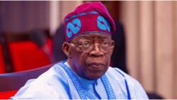 Niger coup: 3 big issues Nigerians want Tinubu to solve without delay