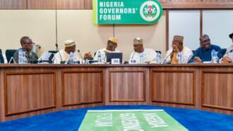 BREAKING: Major agenda revealed as APC, PDP governors meet at Aso Rock, President Buhari absent