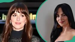 Who are Dakota Johnson's siblings? Meet the talented family
