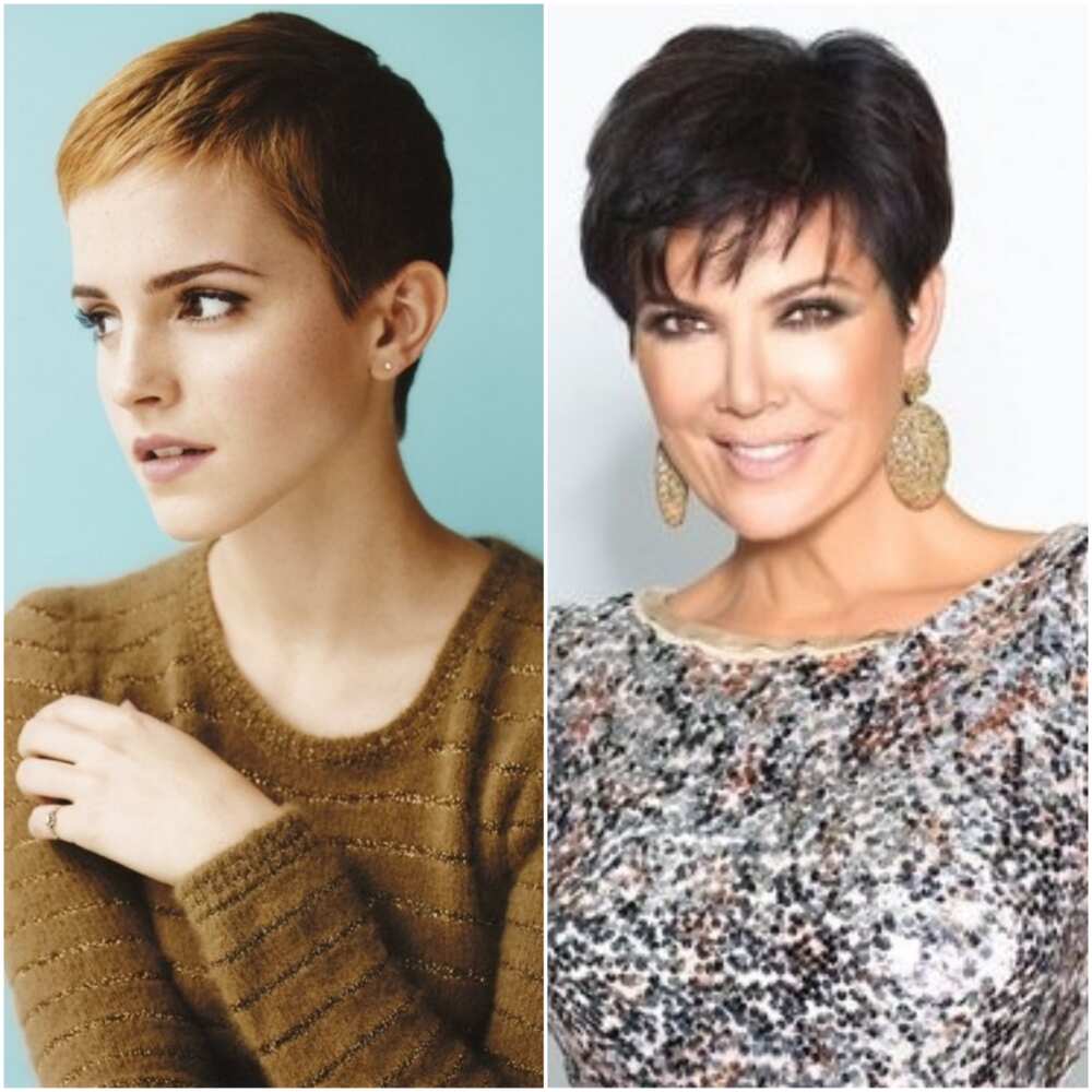 50 long pixie cut ideas to try out in 2019 ▷ legit.ng