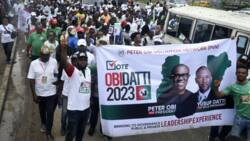 2023 presidency: "Why Peter Obi may lose election", Northern Labour Party chairmen open up, issues ultimatum