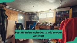 33 best Hoarders episodes to add to your watchlist
