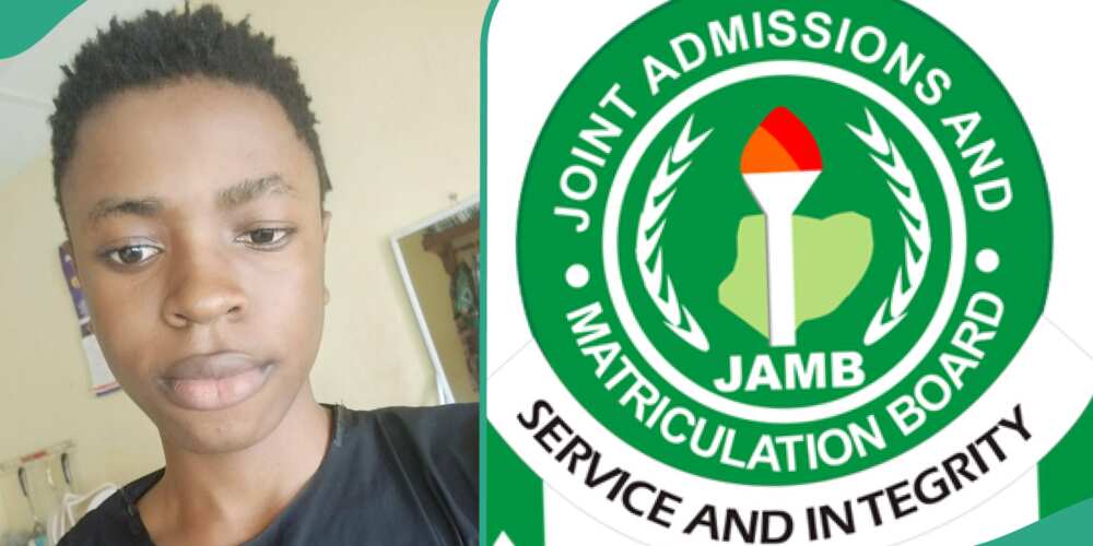 JAMB 2024 Results: Smart Boy Scores 291 in UTME, Gets 79 Marks in ...