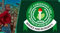 JAMB 2024 aggregate result: Young lady who got 84 in Chemistry speaks on her 279 UTME score