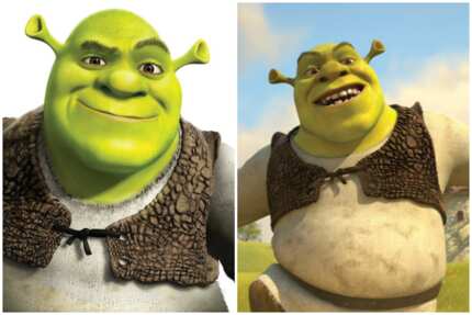 33 iconic Shrek characters every fan of the franchise will remember ...