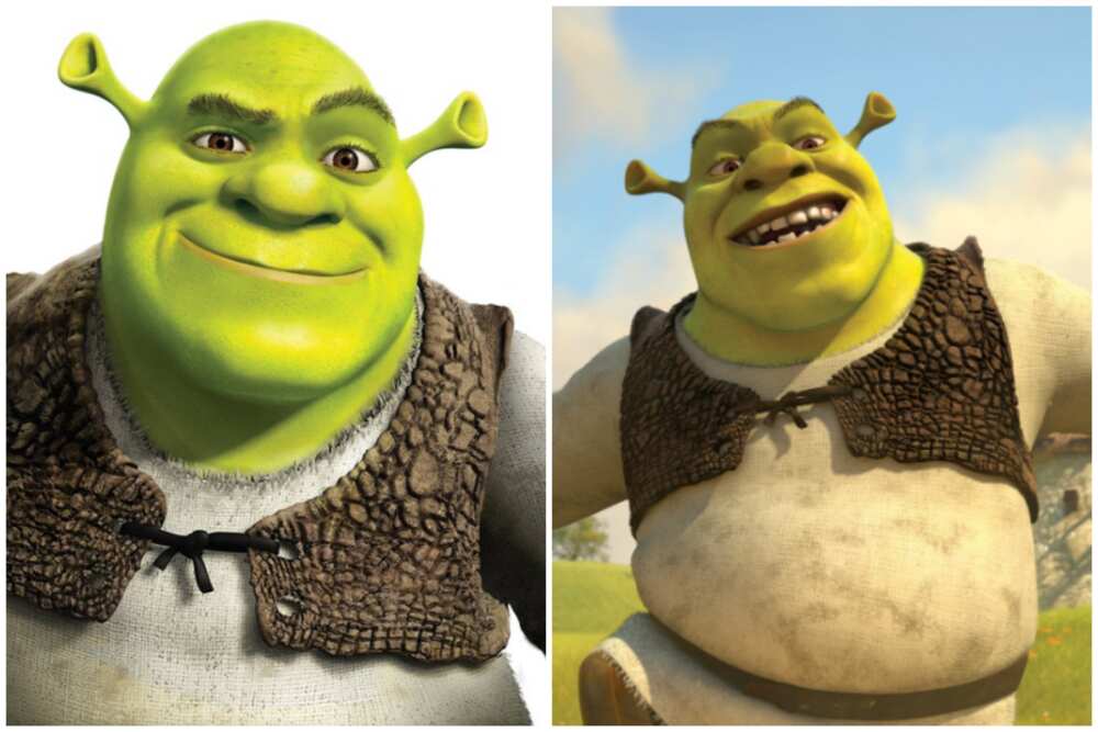 33 iconic Shrek characters every fan of the franchise will