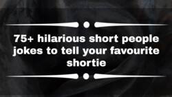 75+ hilarious short people jokes to tell your favourite shortie