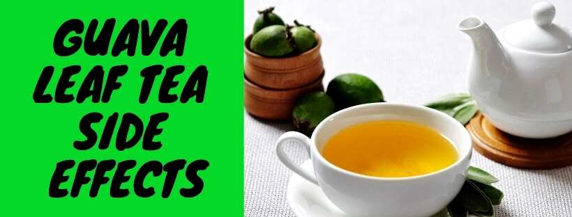 Guava Leaf Tea Side Effects