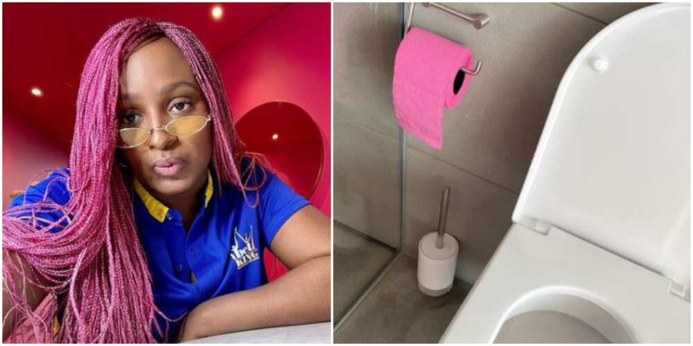 Billionaire daughter DJ Cuppy shows off pink toilet paper