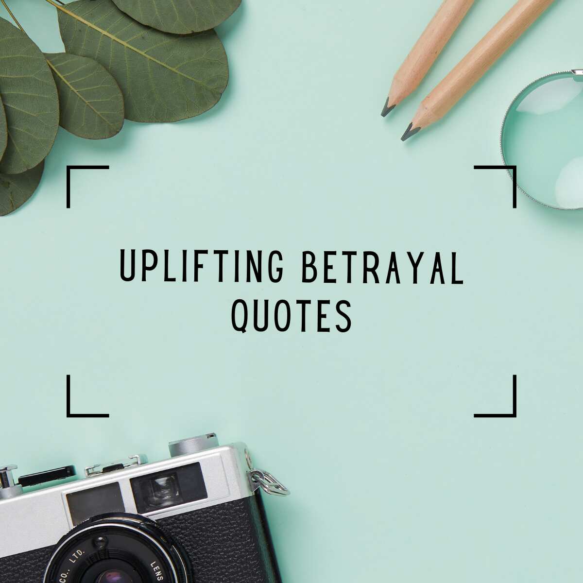 short quotes about betrayal