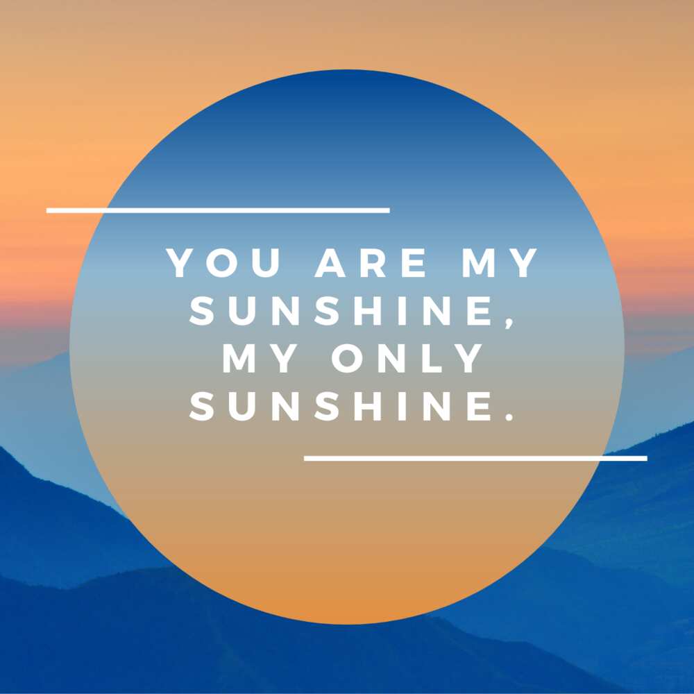 sun quotes