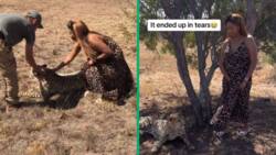 Woman's animal-printed dress startles cheetah in viral TikTok video, netizens crack jokes