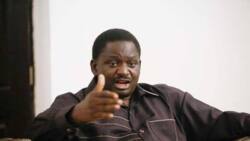 2023 election: "You'll wait a long time if you think power will be ceded to you", Femi Adesina to Nigerian youths