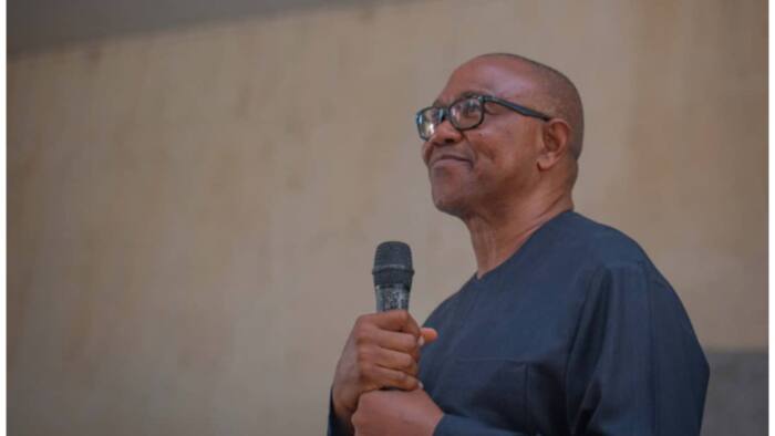 2023 presidency: “There’s nothing in his head”, APC lambasts Peter Obi’s manifesto