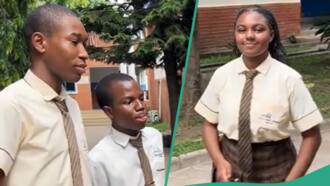 WAEC 2024: Nigerian students share how they are preparing for their forthcoming exams
