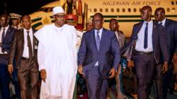 Buhari won’t fail in anti-corruption war - Presidency tells PDP