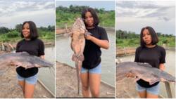"You look good": Beautiful lady who is a fish farmer shows off big 'point and kill', photos go viral
