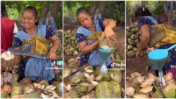 Mum shows off business as she sells coconut with baby strapped to her back, peeps react to video