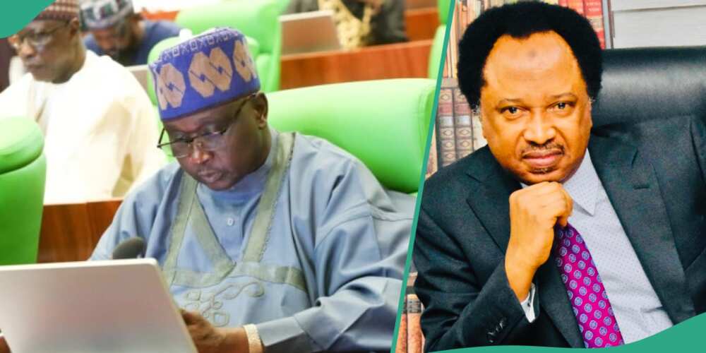 Shehu Sani reacts as APC lawmaker Doguwa says winning elections is not only by votes