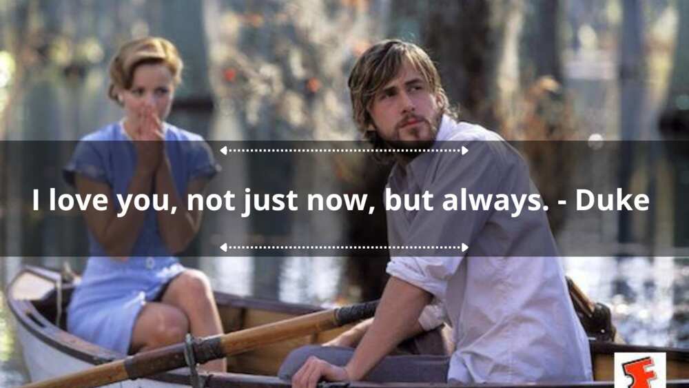 funny the notebook quotes